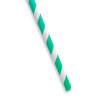 Green Striped Paper Straw