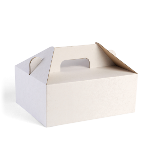 Carry Box - White Corrugated