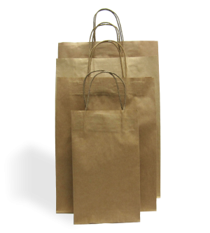Kraft Paper Carry Bags - Twine Handle