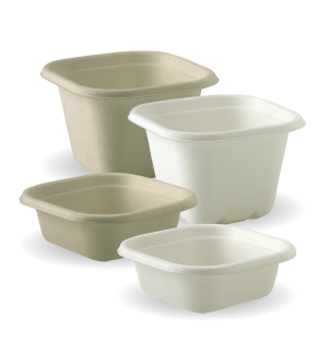 Sugarcane Square Containers and Lids