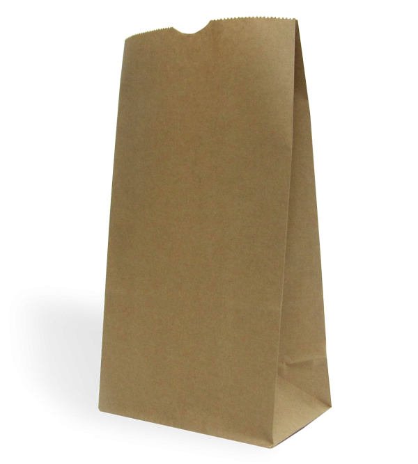 Kraft Paper Carry Bags No Handle No Handle Kraft Carry Bags