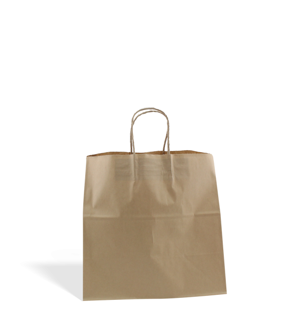 Brown Paper Carry Bag Twine Handle Wide - C734S0010