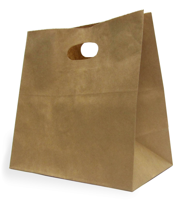 Brown Paper Carry Bag Die Cut Handle